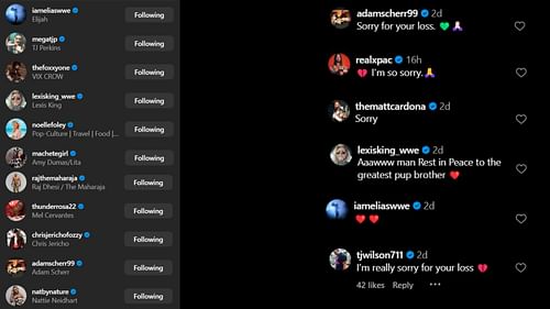 Screenshot of stars' likes and comments on Enzo Amore's post [Image credits: Amore's Instagram]