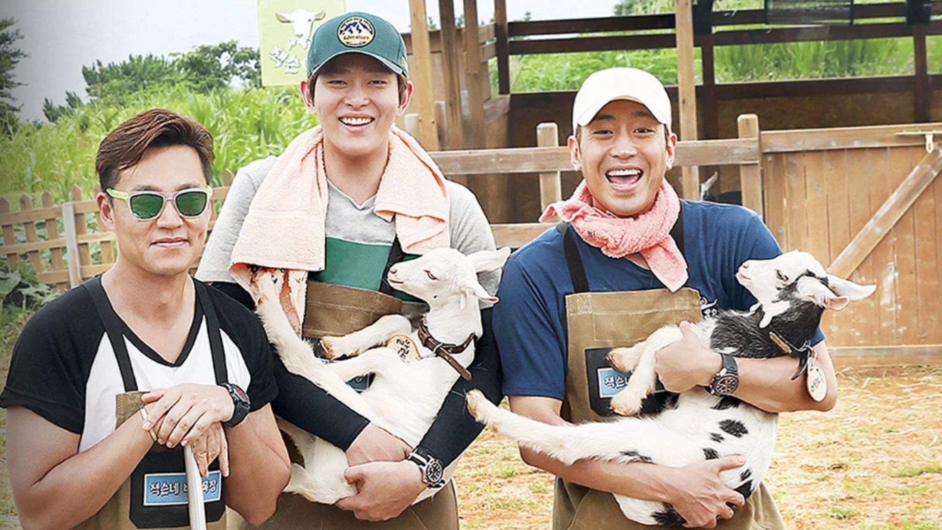 Three Meals A Day ( Image via Viki)