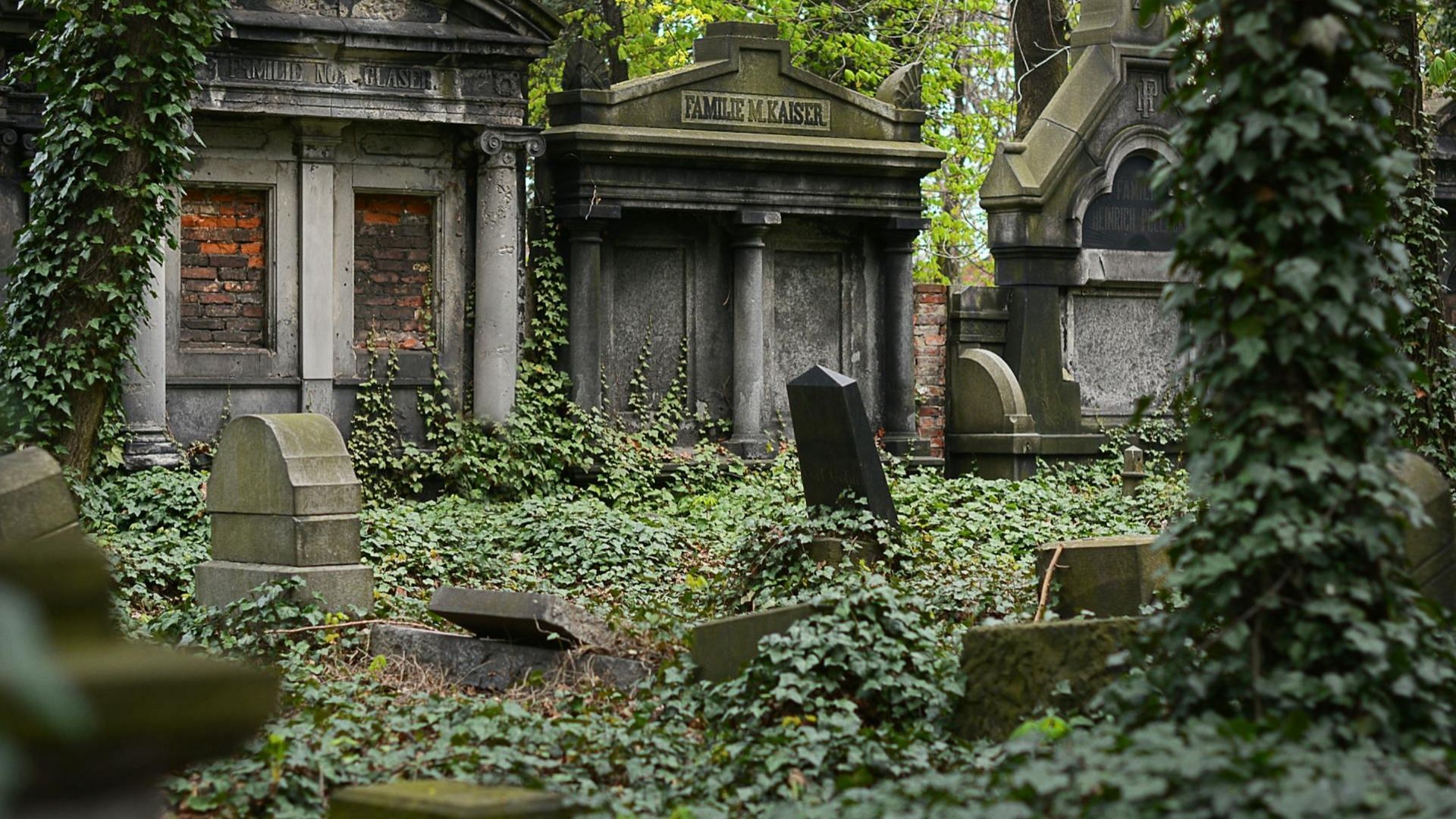 A head was stolen from a broken crypt (Image via Pexels/Pixabay)