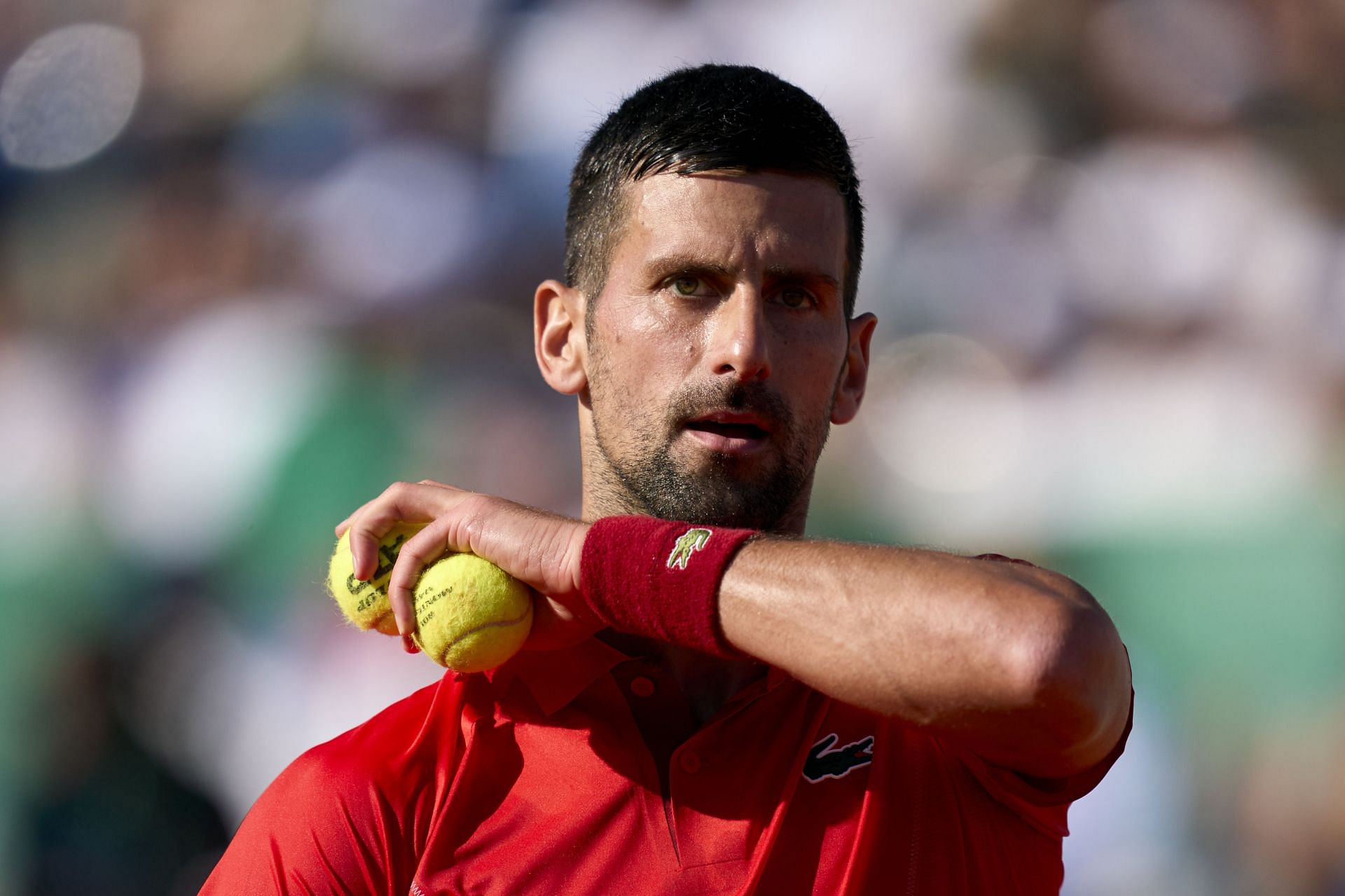 Novak Djokovic (Source: Getty)