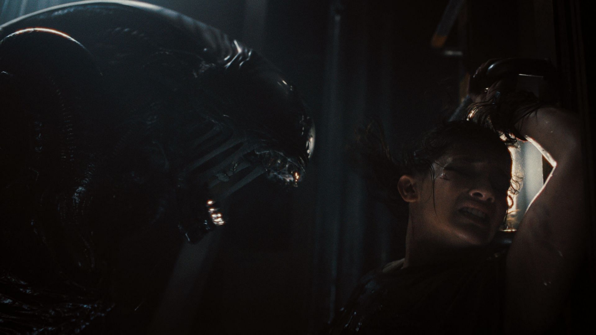 A still from Alien: Romulus (Image via Disney)