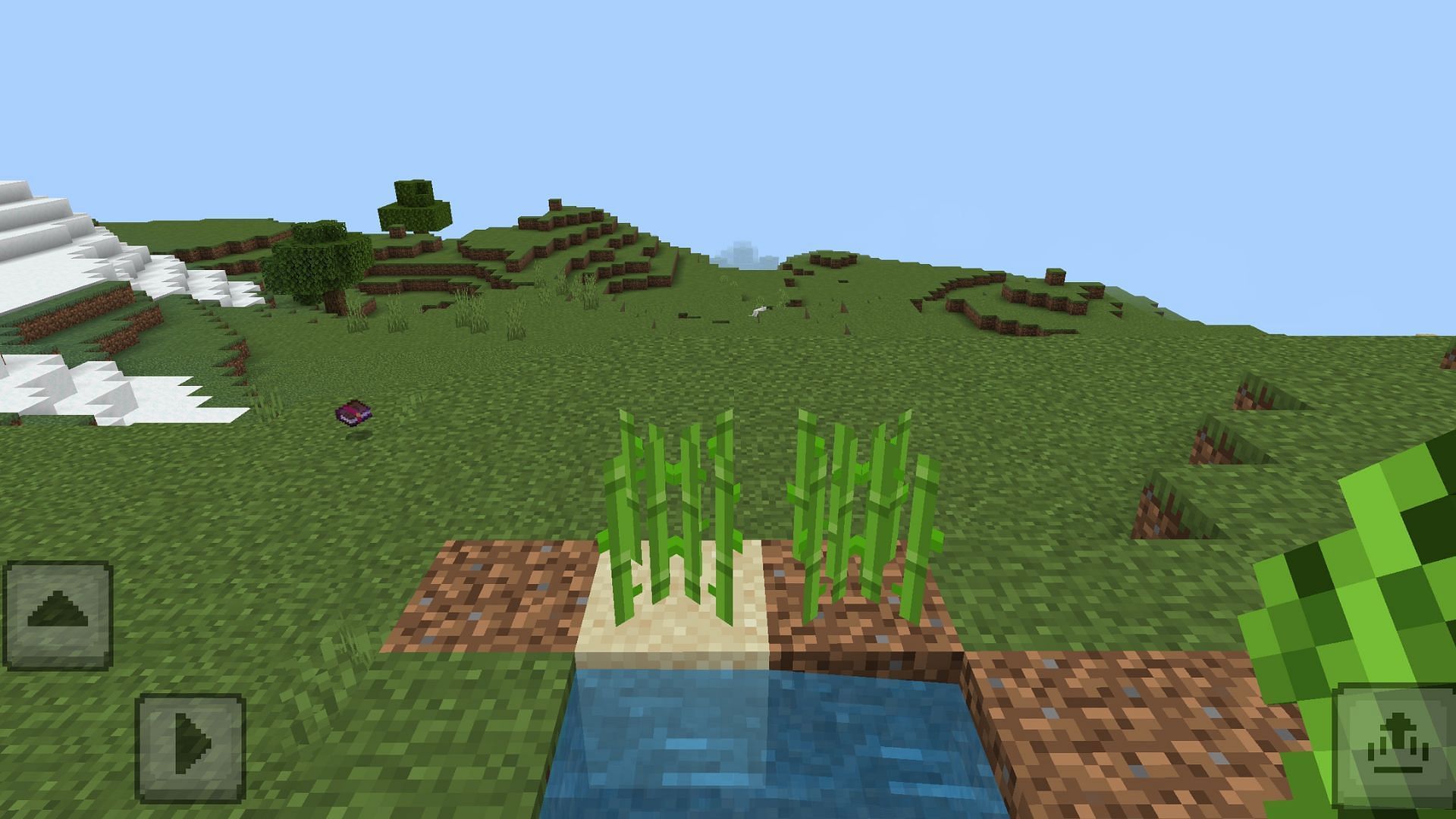 Sugarcane does not grow faster in the sand. (Image via Mojang Studios)