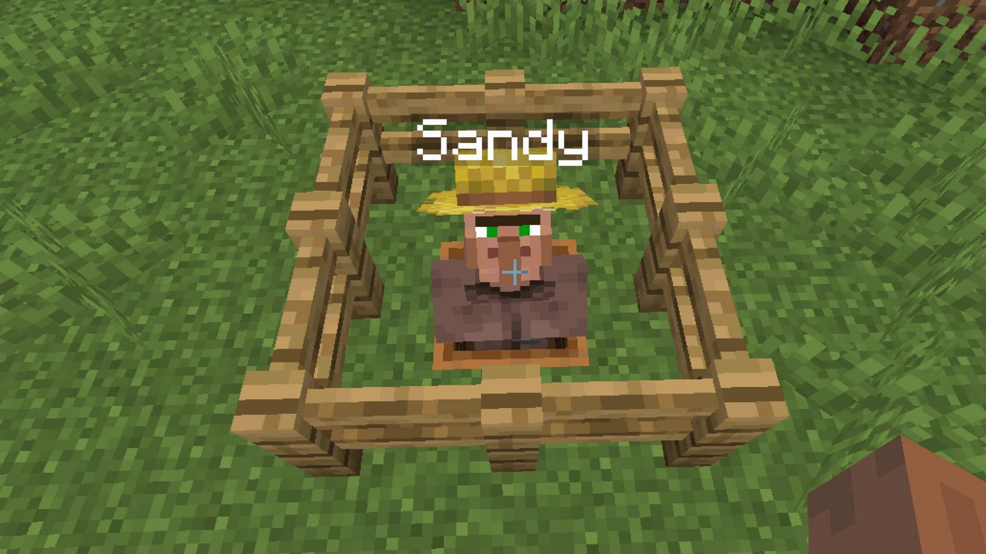 Villagers can be given random names with this mod (Image via CurseForge)