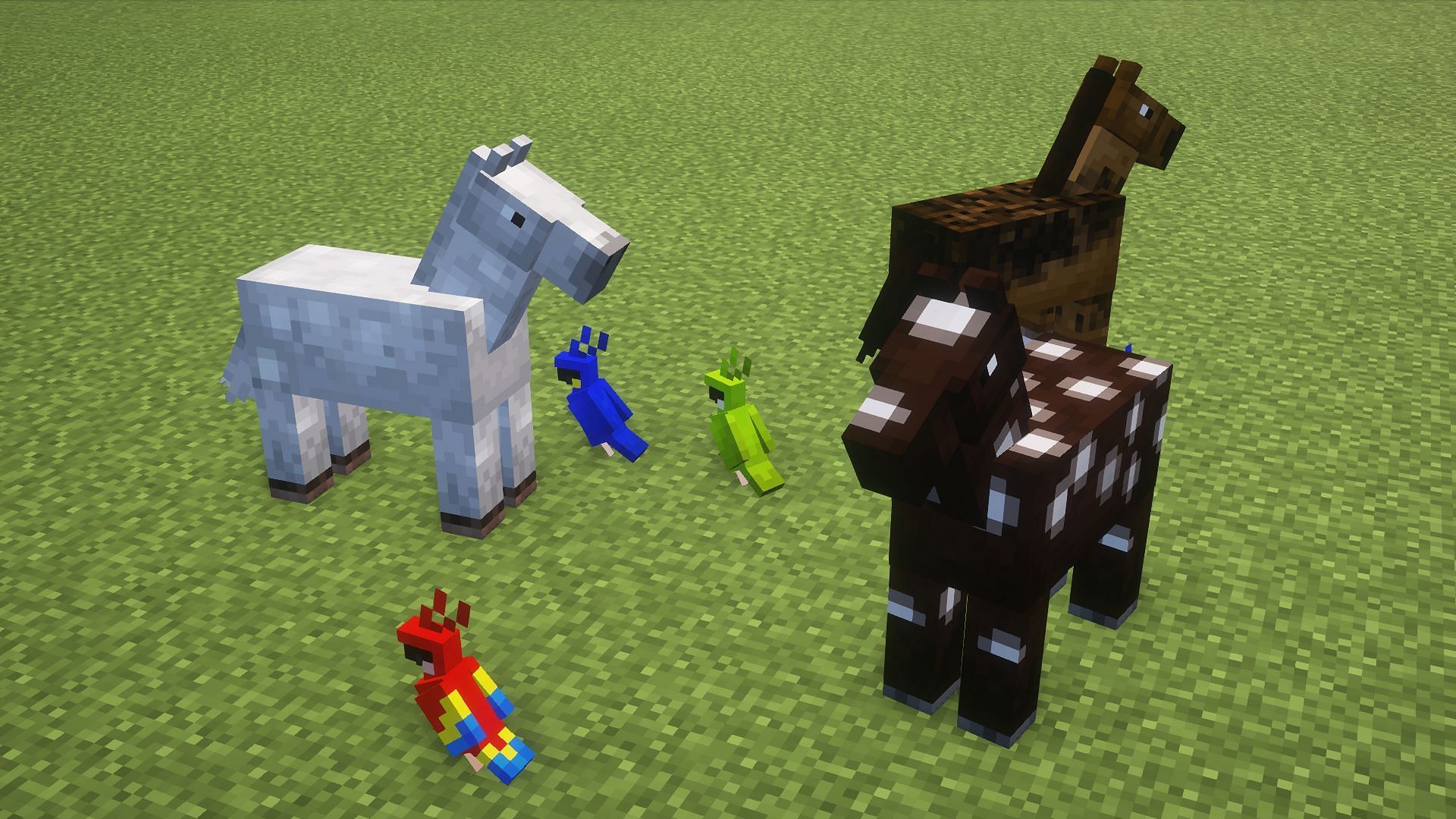 The B tier tameable mobs (Image via Mojang)