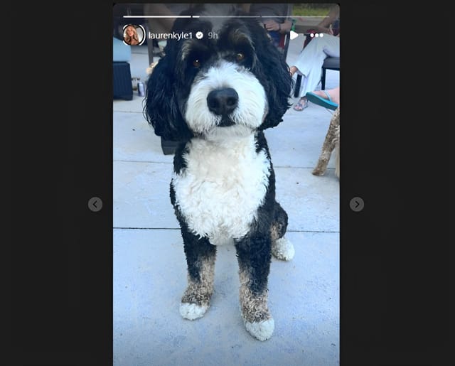 Connor McDavid's wife Lauren Kyle teases release of private Ontario