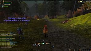 Should you play WoW on a private server?