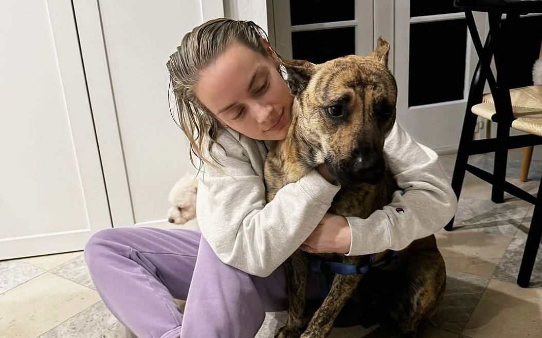 Rachel Skarsten with a rescue dog (Image via @rachieskarsten/Instagram)