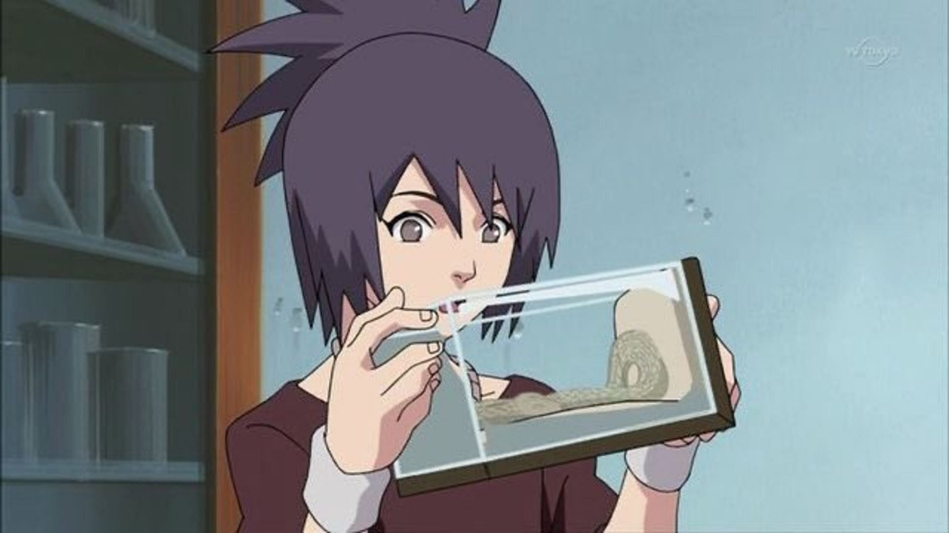 Anko Mitarashi (Image via Pierrot)