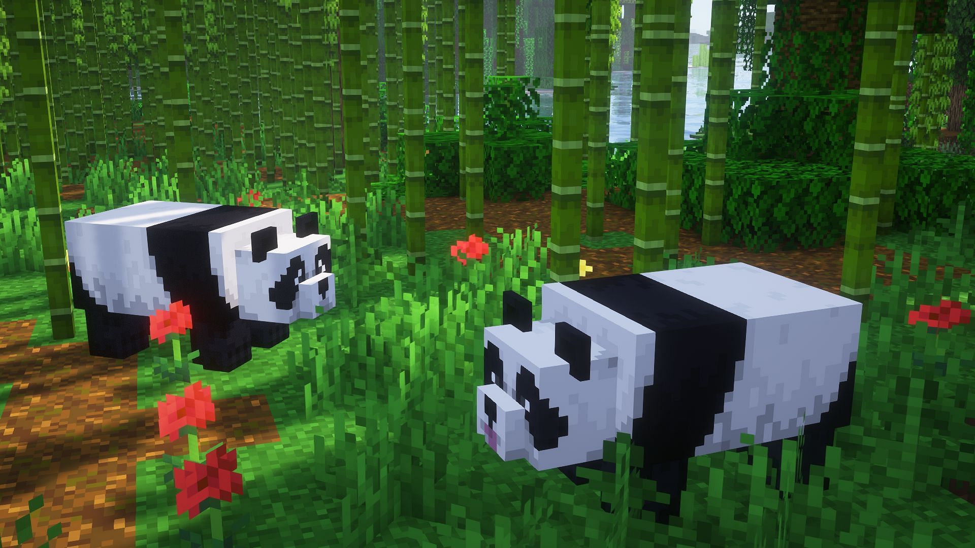 Pandas in a bamboo jungle (Image via Mojang)