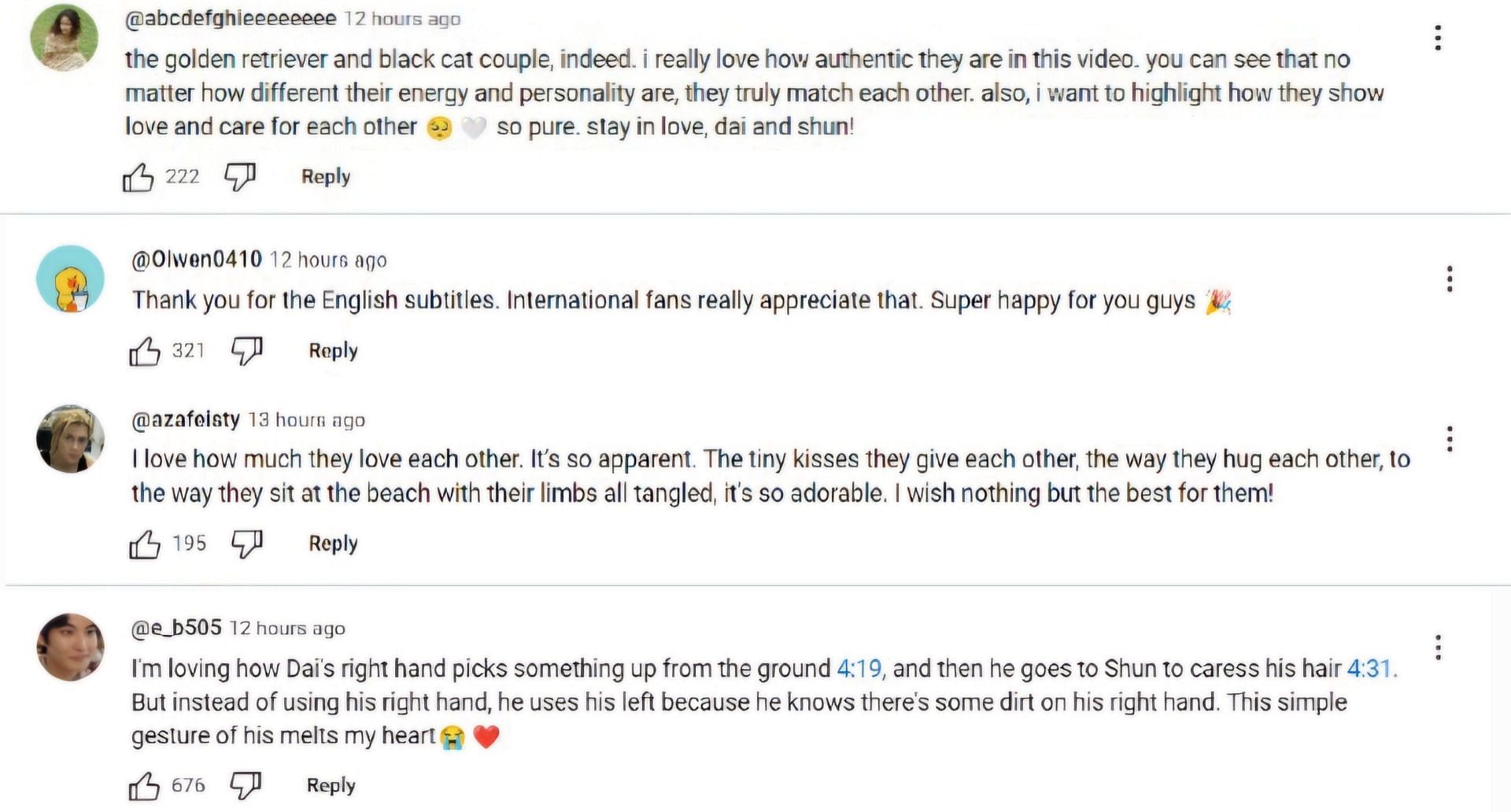 Fans adored the couple in the comments of their vlog (Image via YouTube comments/@DaiShun)