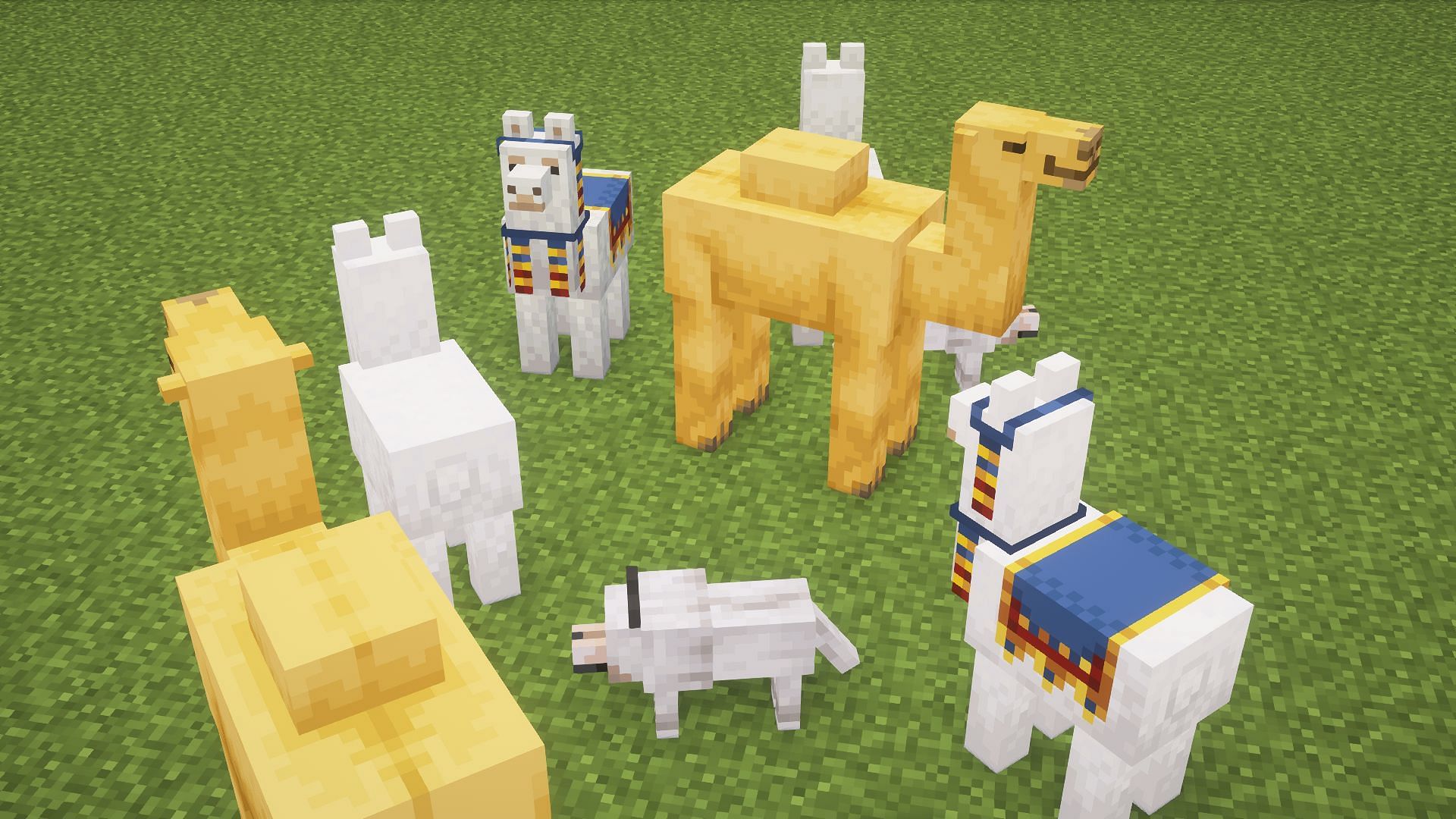 A group of the four S tier mobs (Image via Mojang)