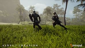 Ashes of Creation devs rearrange Alpha 2 key bundle perks after backlash