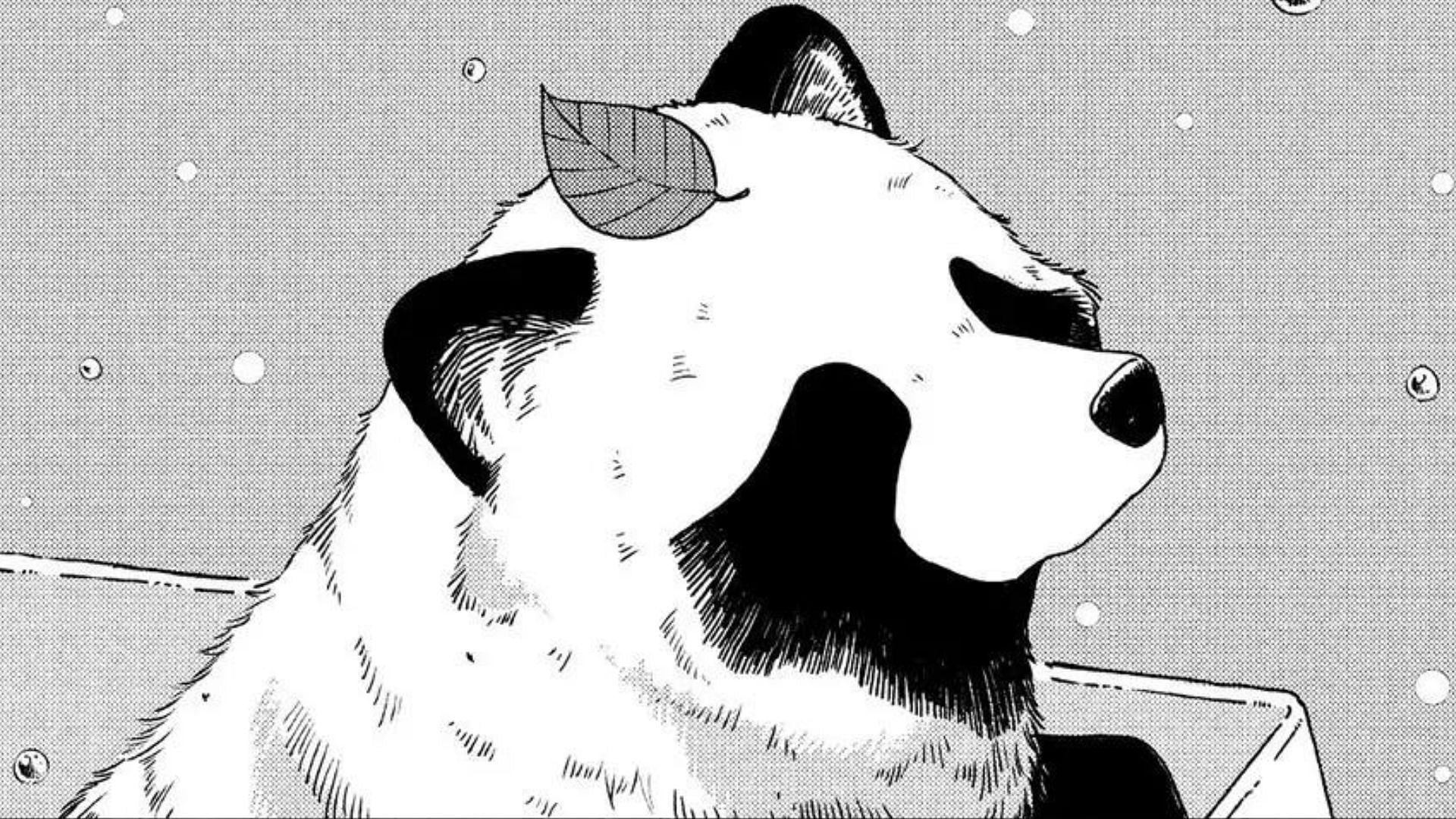 Tanuki as seen in the With You and the Rain manga (Image via Kodansha)