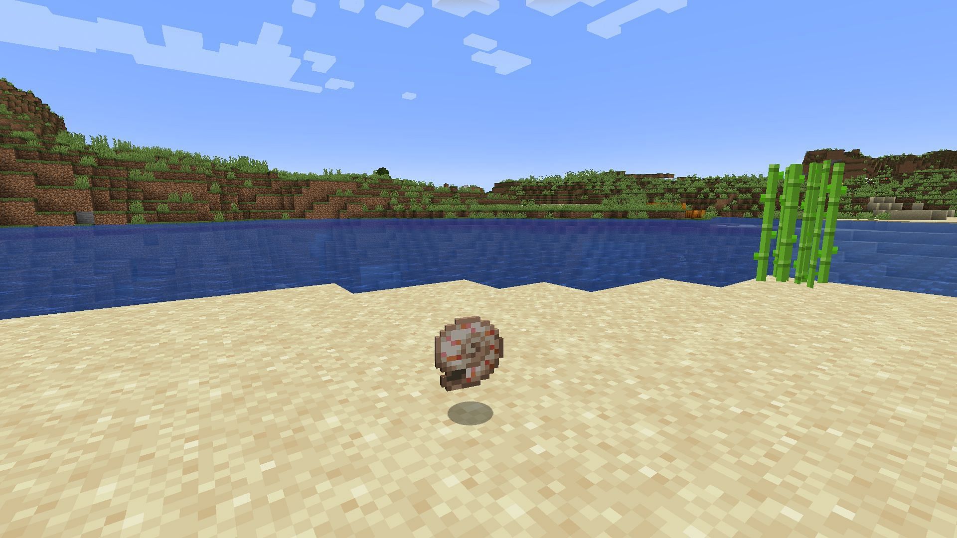 Nautilus shell (Image via Mojang)