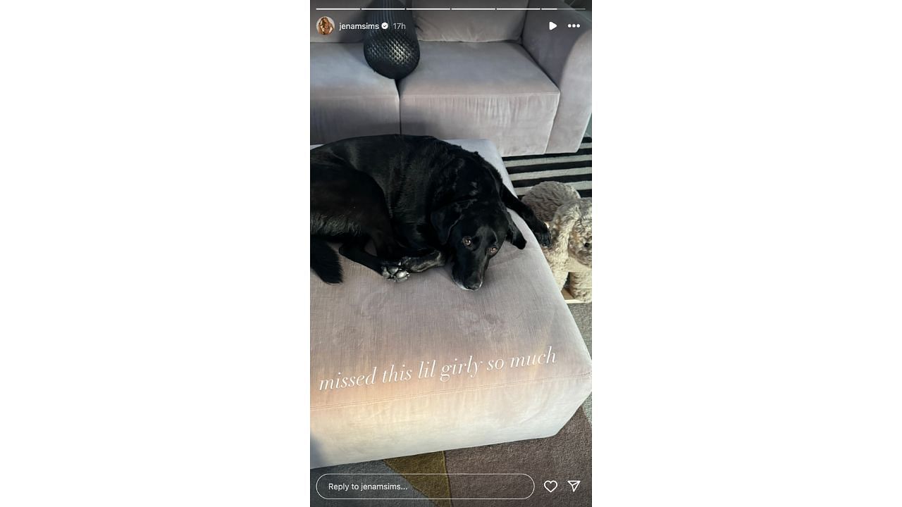 Jena Sims shared this snap of her dog as she returned home from a trip (Instagram/JenaMSims)