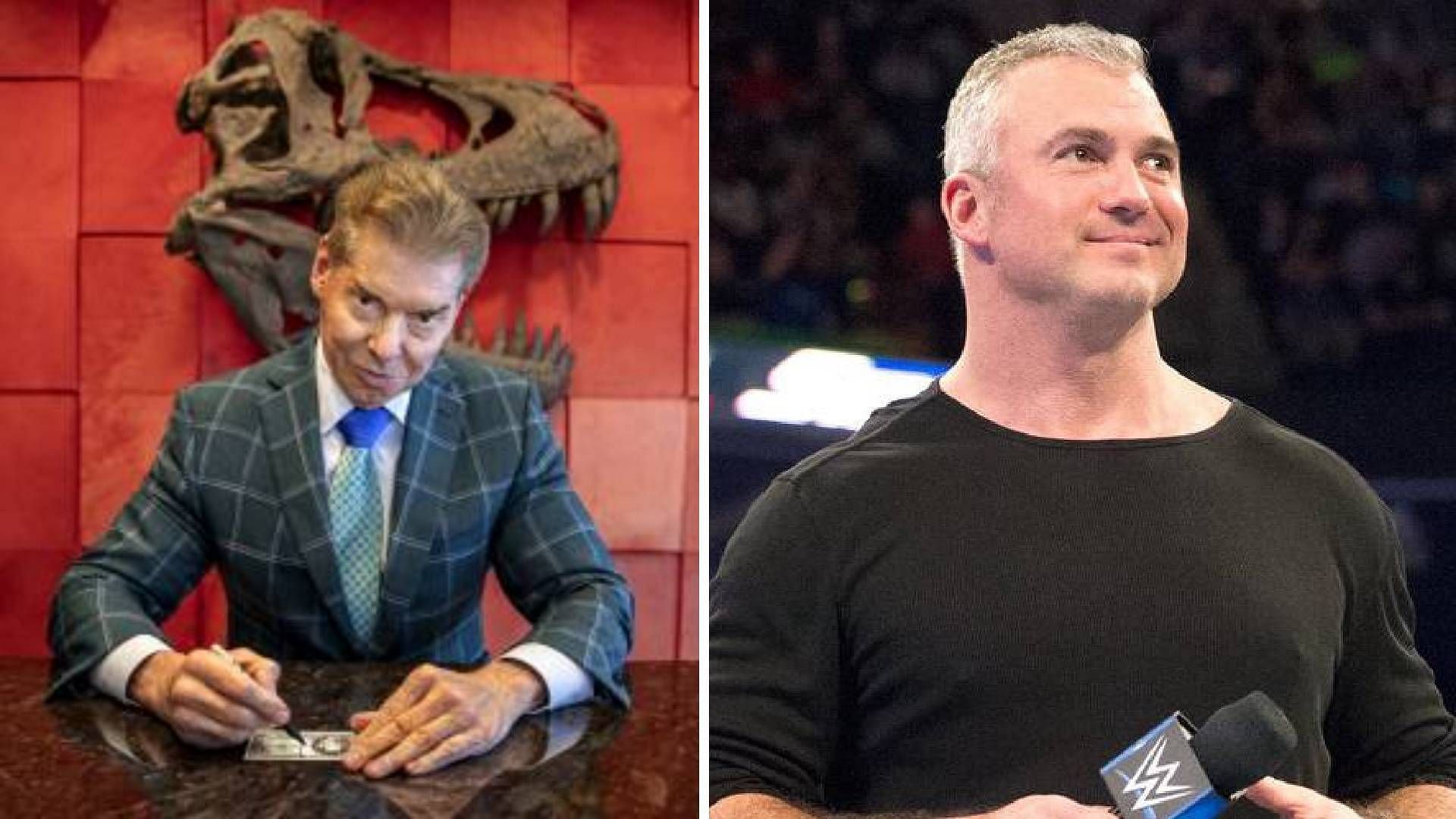 Vince McMahon and Shane McMahon