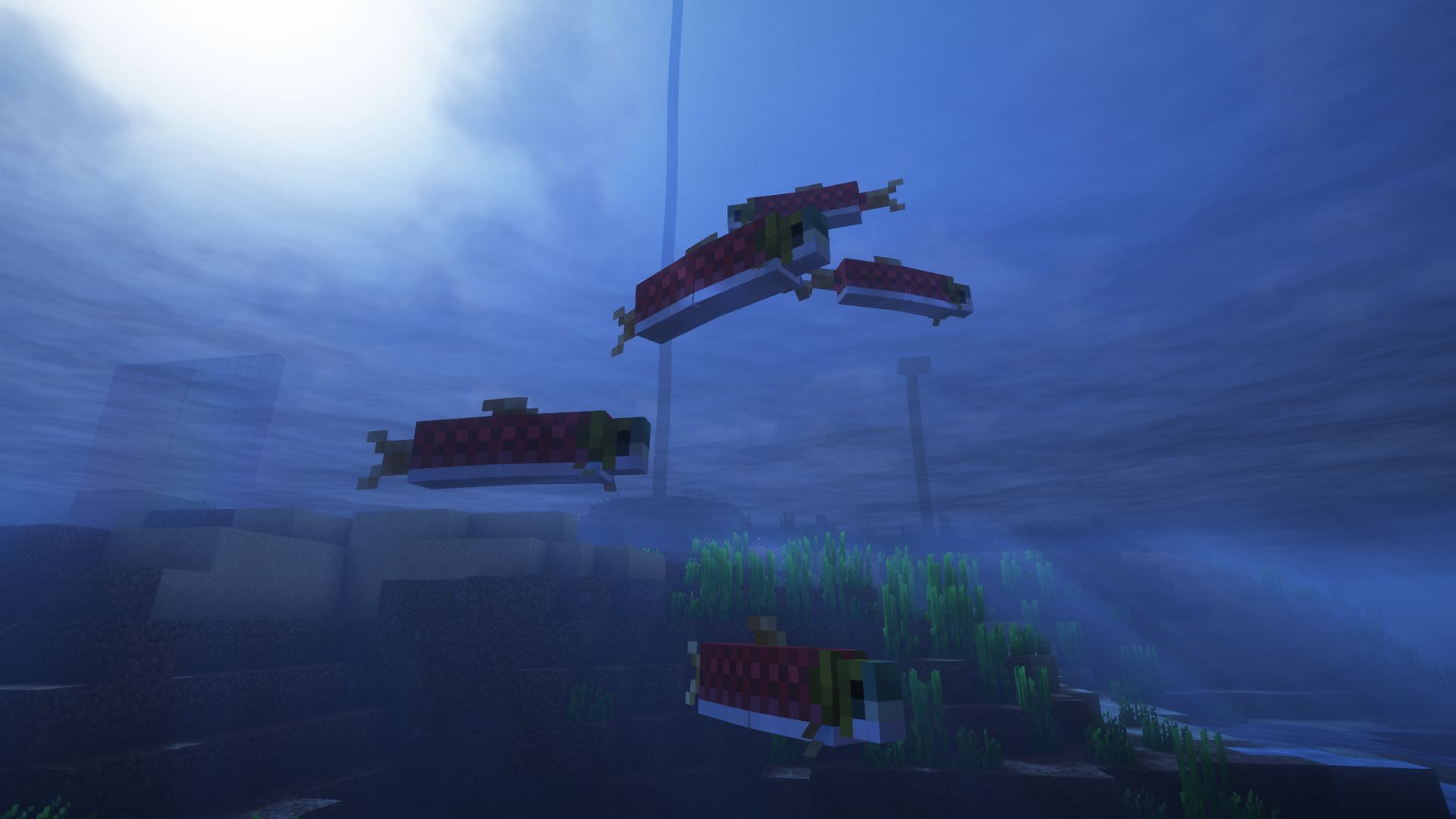 A small school of salmon (Image via Mojang)