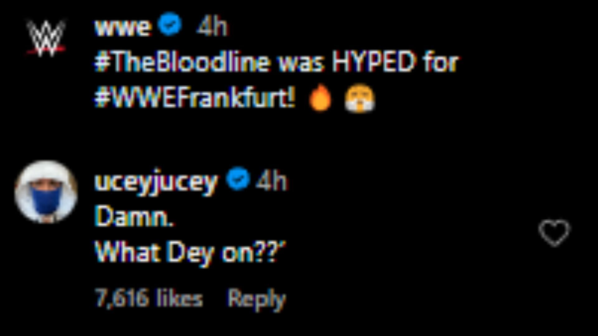 The comment can be seen below (Credit: WWE's Instagram)