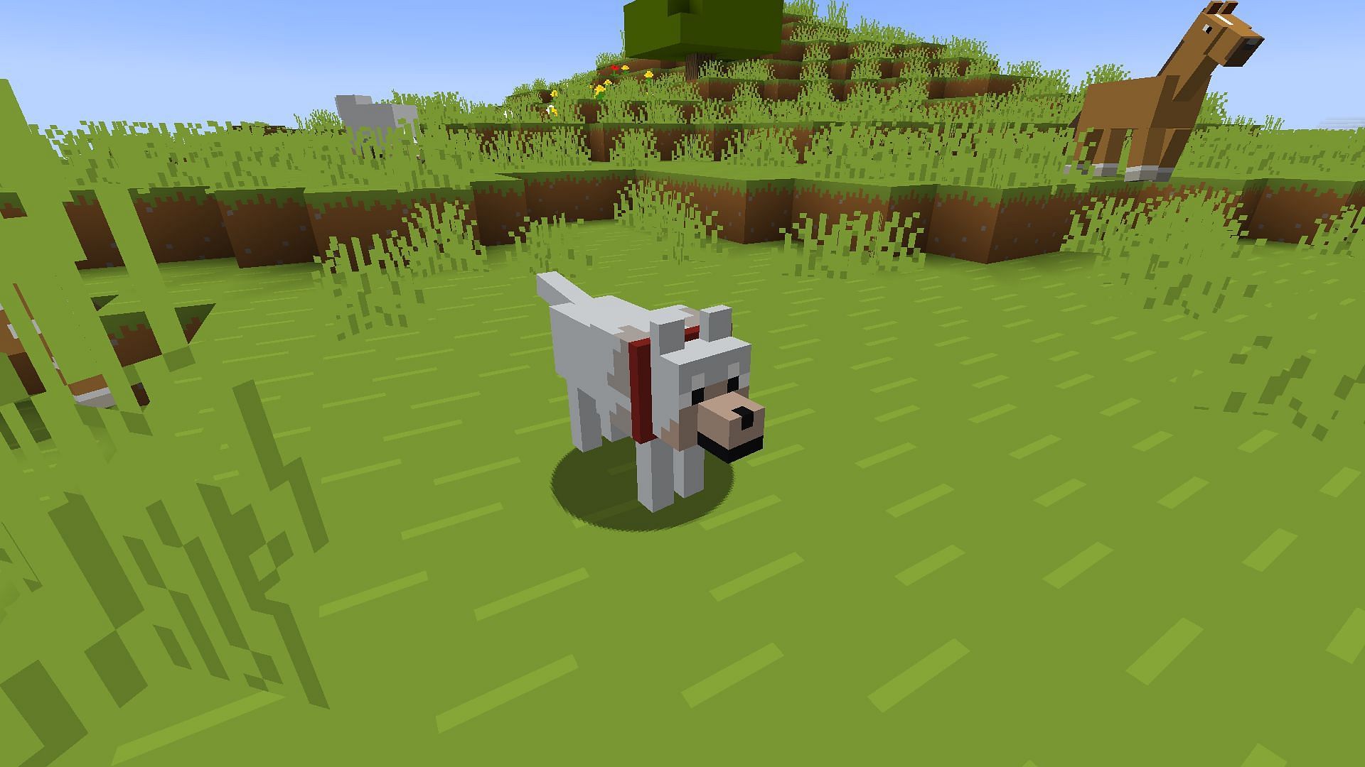 There&#039;s a hidden fact about Minecraft wolves (Image via Mojang)