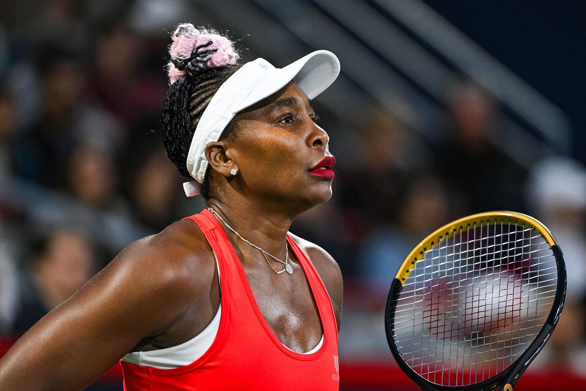 Venus Williams at the National Bank Open - (Image: Getty)