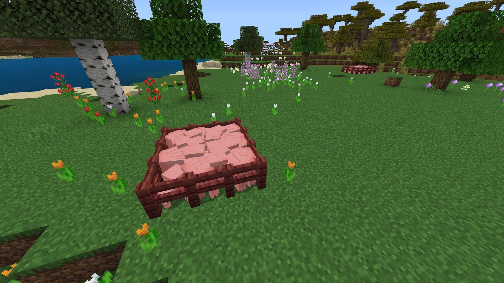 Pens of pigs to distract the wither (Image via Mojang)