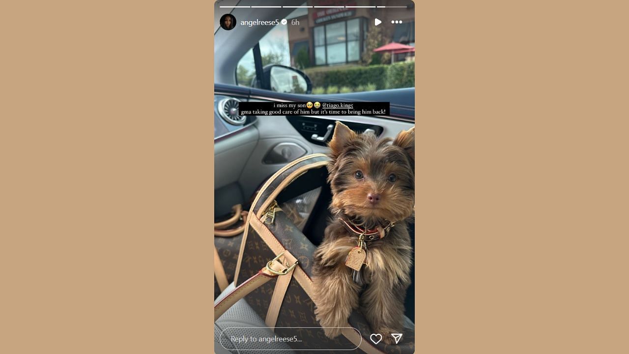 Reese longs for her pet Tiago on IG Story. (Credits: @angelreese5/Instagram)