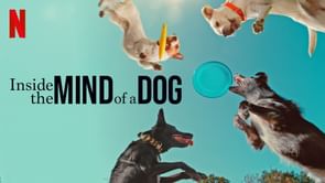 Inside the Mind of a Dog review: Rob Lowe's intriguing canine documentary hits all the right notes