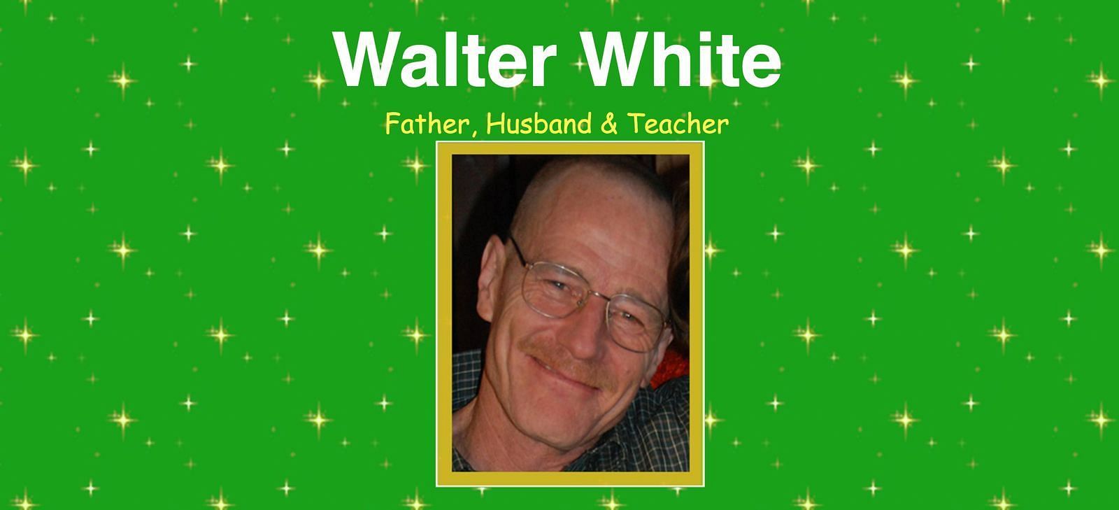 Screen grab from the website (image via savewalterwhite.com)