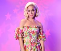 "Not dr Luke stealing beats" — Internet reacts to Zee Machine insinuating Katy Perry's song Lifetimes has a similar beat to his 2022 Dave Audé