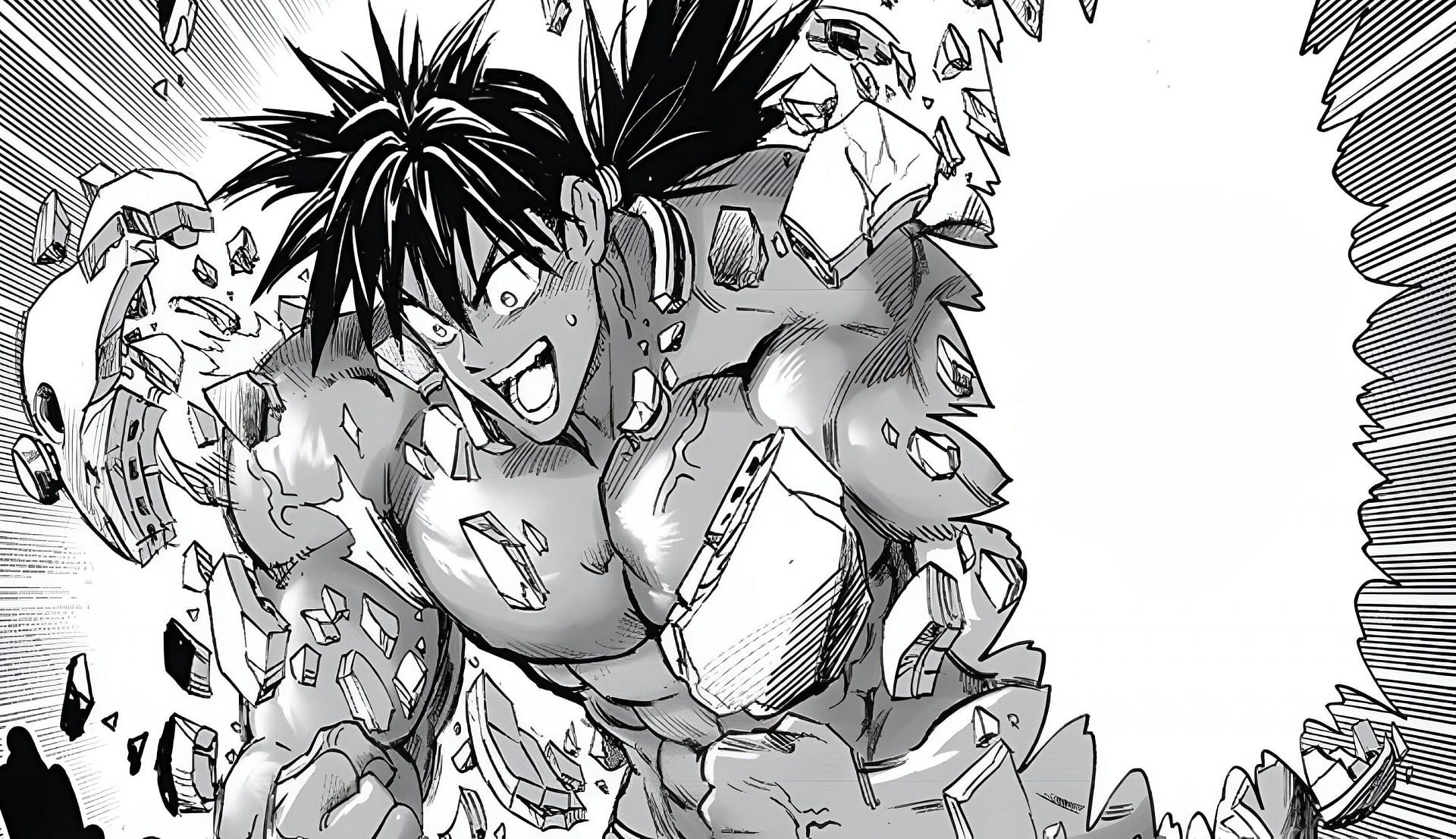 Suiryu as seen in One Punch Man Chapter 202 (Image via Shueisha)