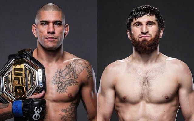 Alex Pereira: Magomed Ankalaev addresses being snubbed for UFC title fight  with Alex Pereira: "They can no longer deny me"