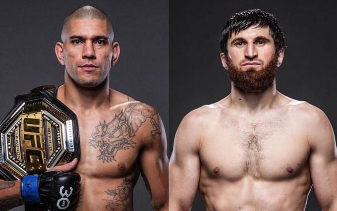 Magomed Ankalaev addresses being snubbed for UFC title fight with Alex Pereira: "They can no longer deny me"