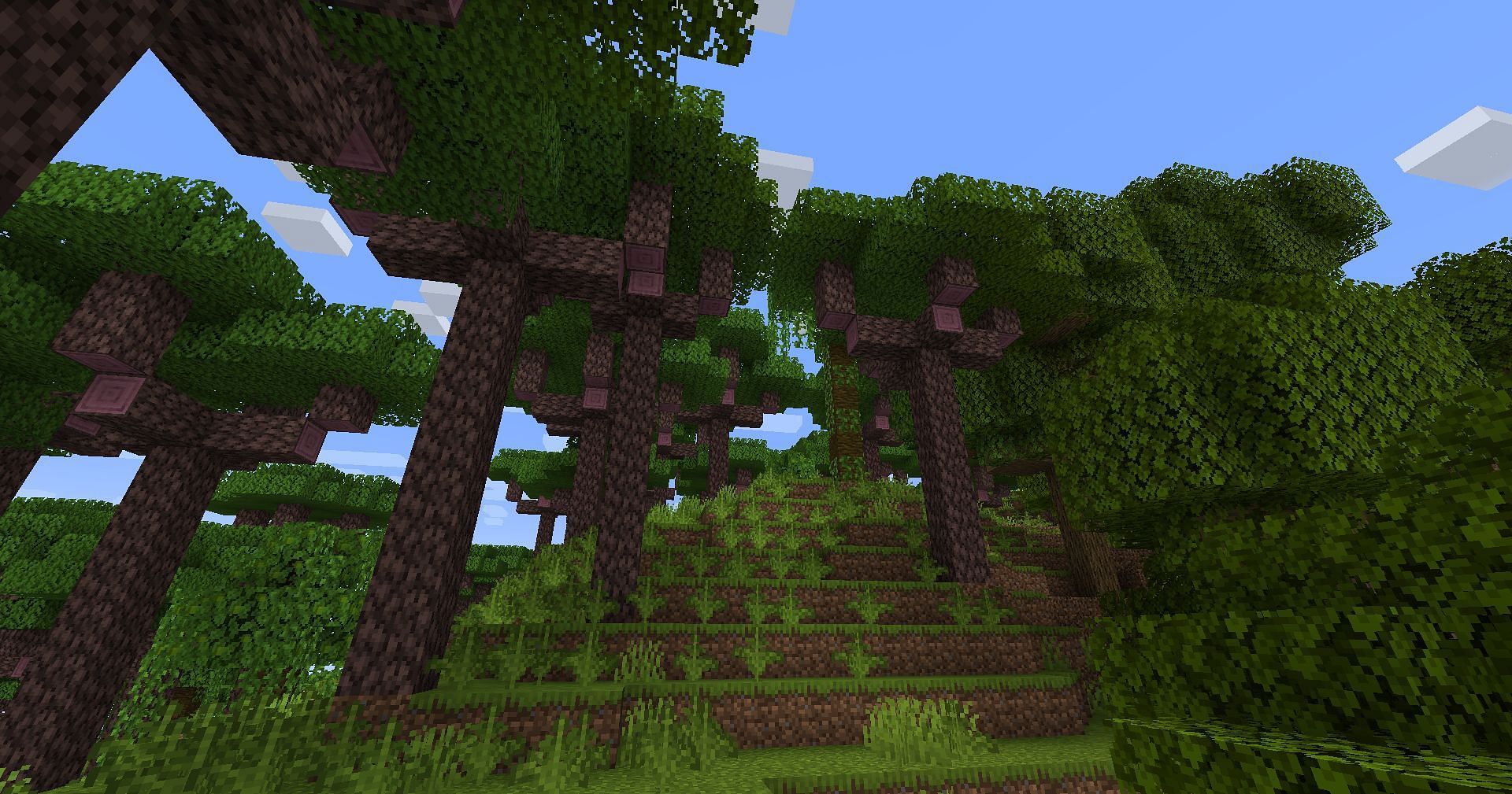 A Biomes O&#039; Plenty rainforest (Image via Mojang)