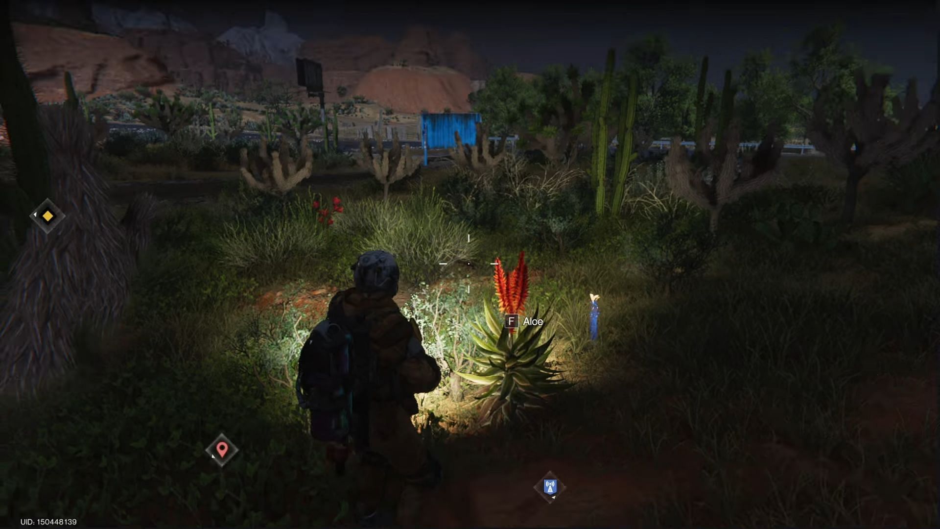 Collect the Aloe Vera plants to get some seeds (Image via Starry Studio)