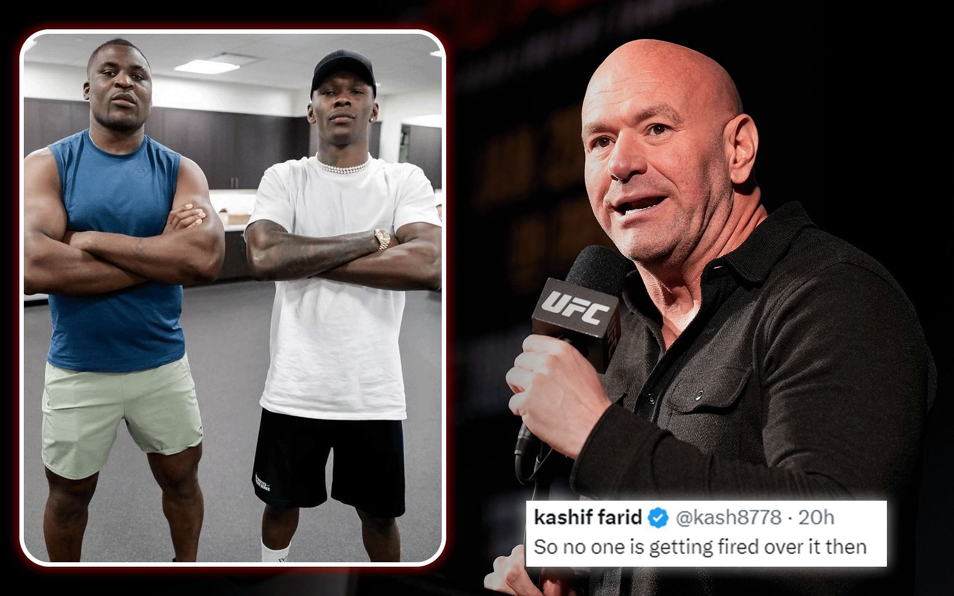 Fans react to Dana White