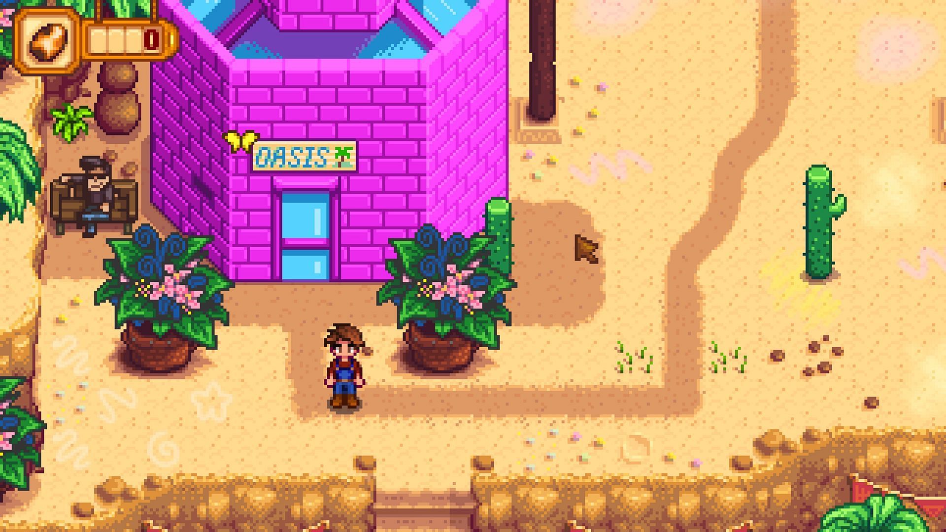 You need to visit the Oasis store in the Calico Desert (Image via ConcernedApe)