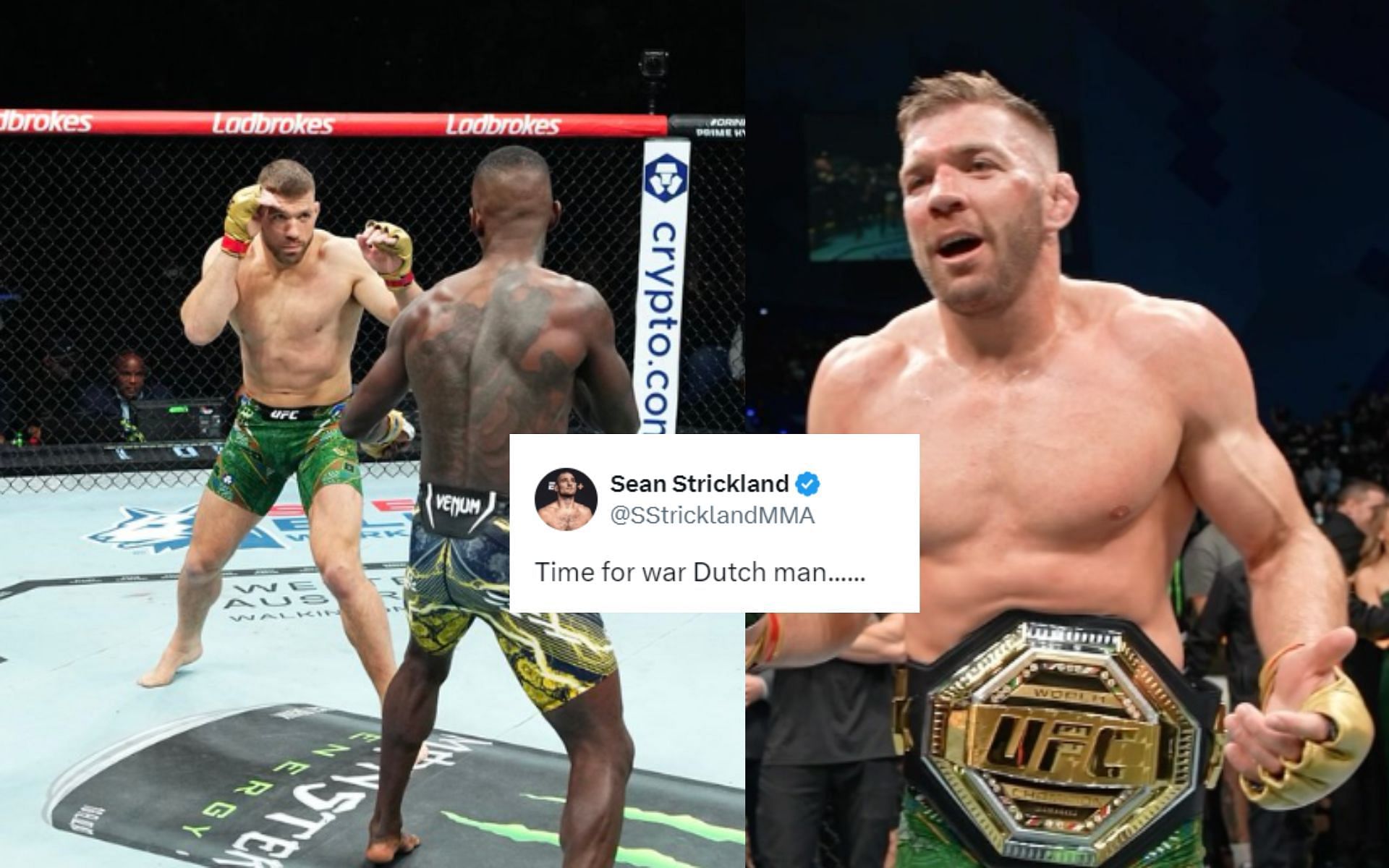 Fighters react to Dricus du Plessis