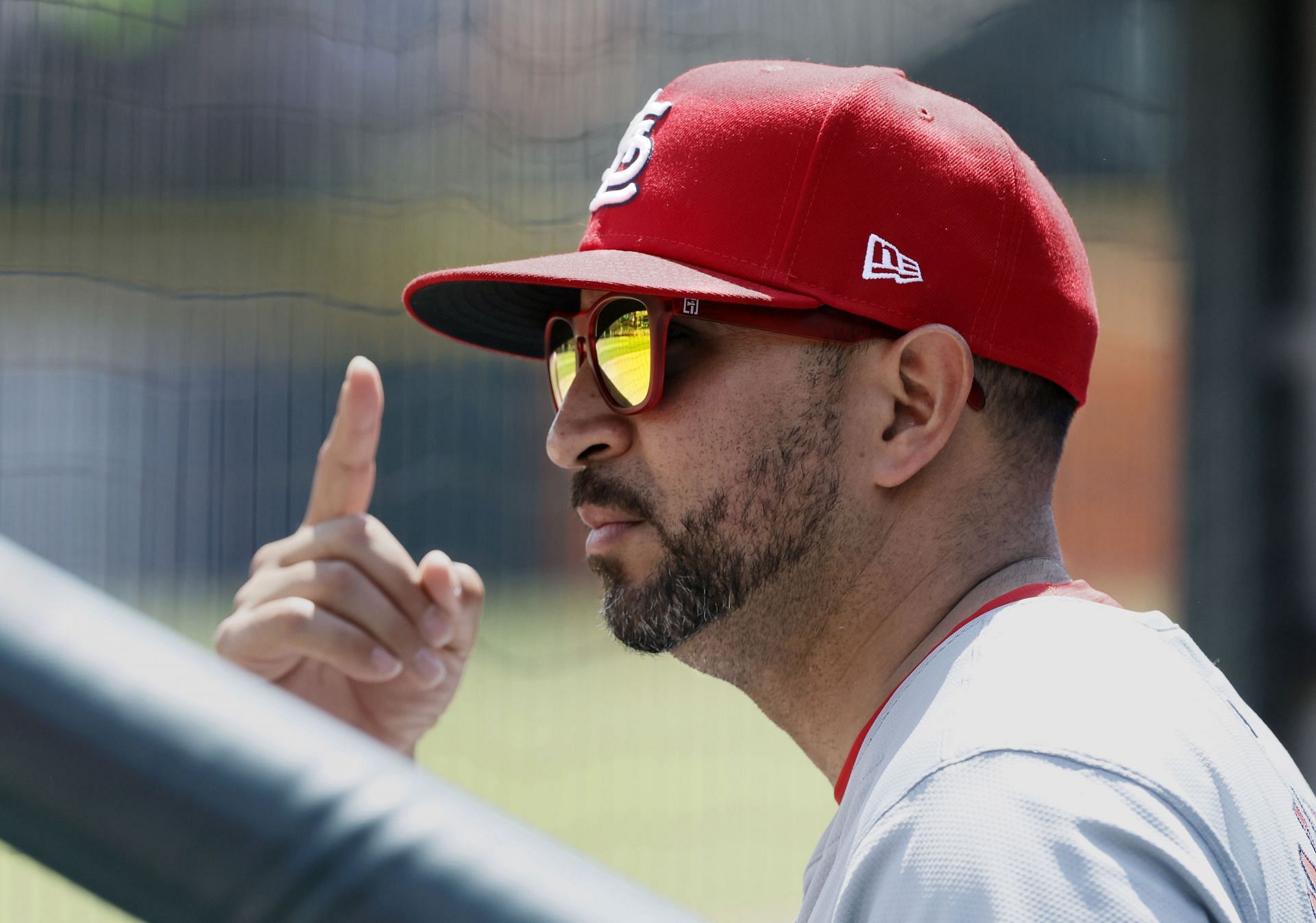 St. Louis Cardinals v Detroit Tigers