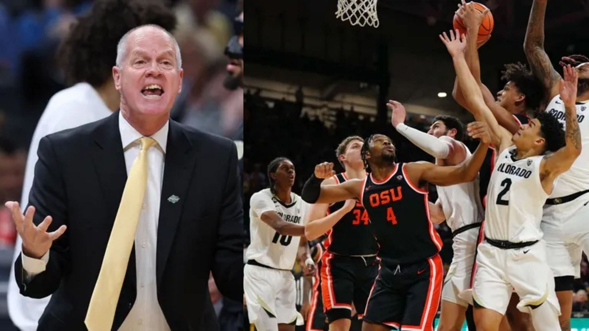 Colorado Basketball Season Preview 2024-25 (Image Source: IMAGN)