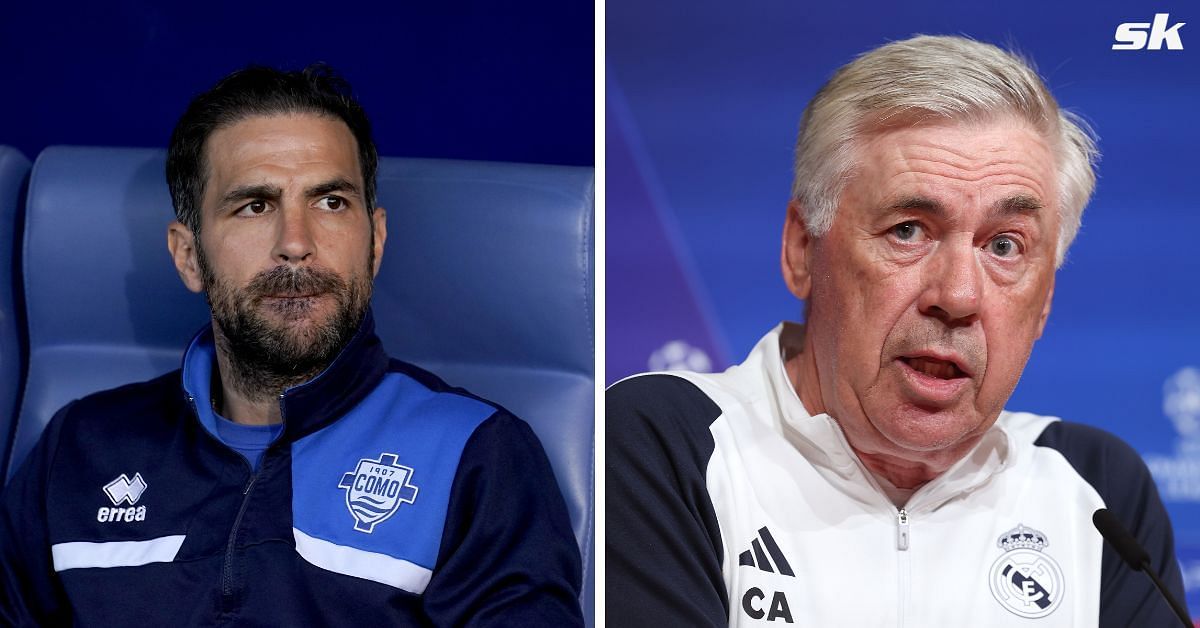 Cesc Fabregas (left) and Carlo Ancelotti (right)