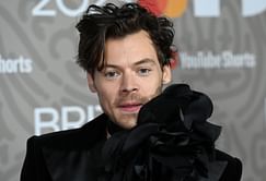 When did Harry Styles debut? Evolution of music and career highlights