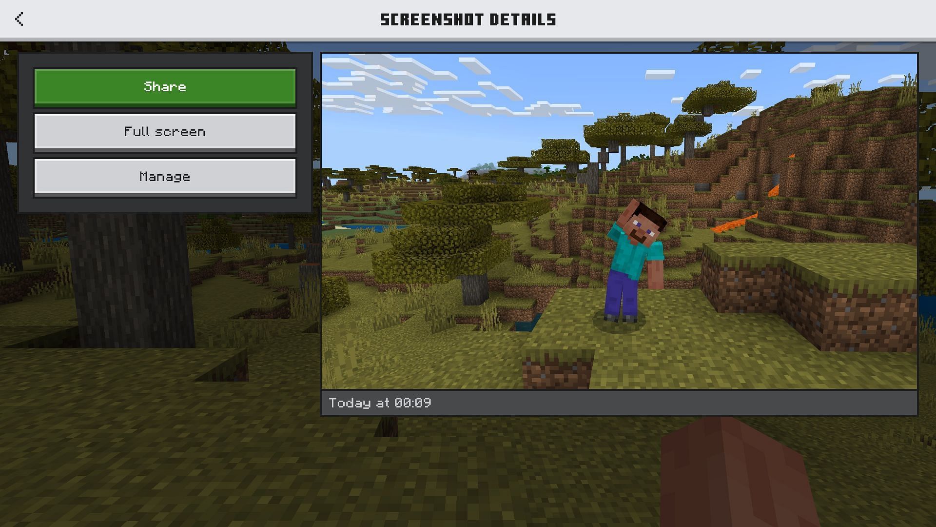 The screenshot viewer in Minecraft preview 1.21.30.22 (Image via Mojang)