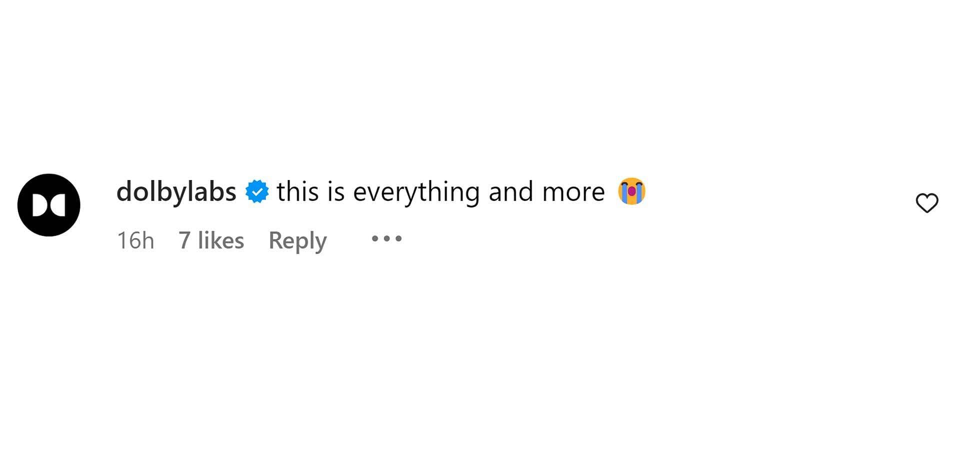 A comment reacting to the news (Image via Instagram/ @maggierogers)