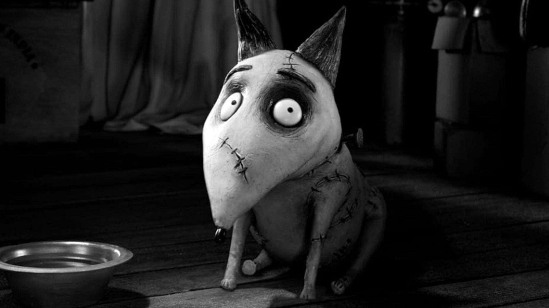 Frankenweenie (Image via Walt Disney Pictures)