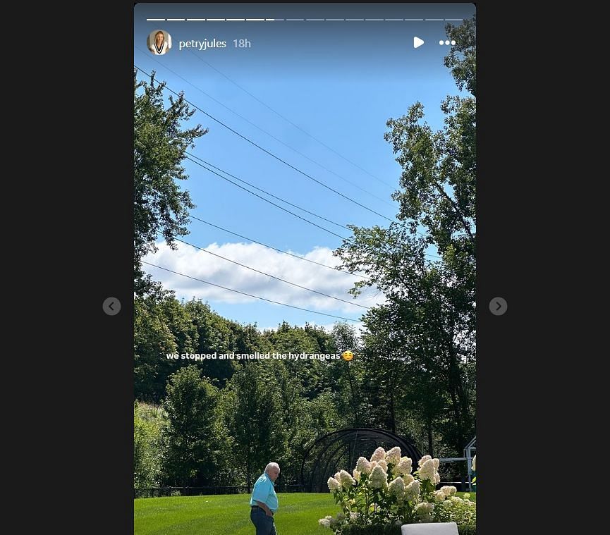 Grandfather in garden (IG: @petryjules)