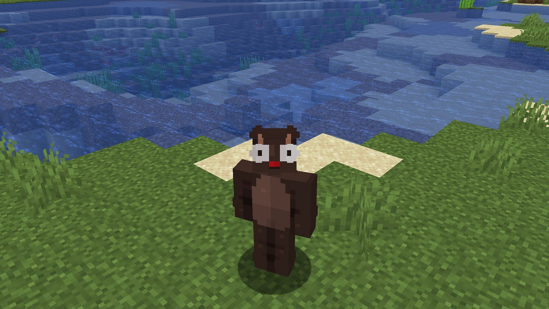 Minecraft can show an error message regarding skin resolution (Image via Mojang Studios)