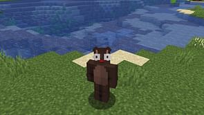 How to fix Minecraft skin images must be 64x64 error