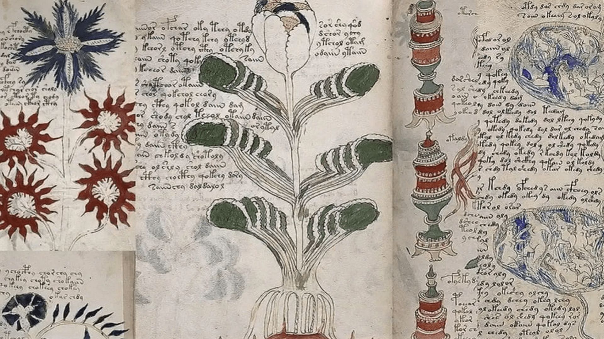 A page from the Voynich Manuscript (Image by Apple TV)