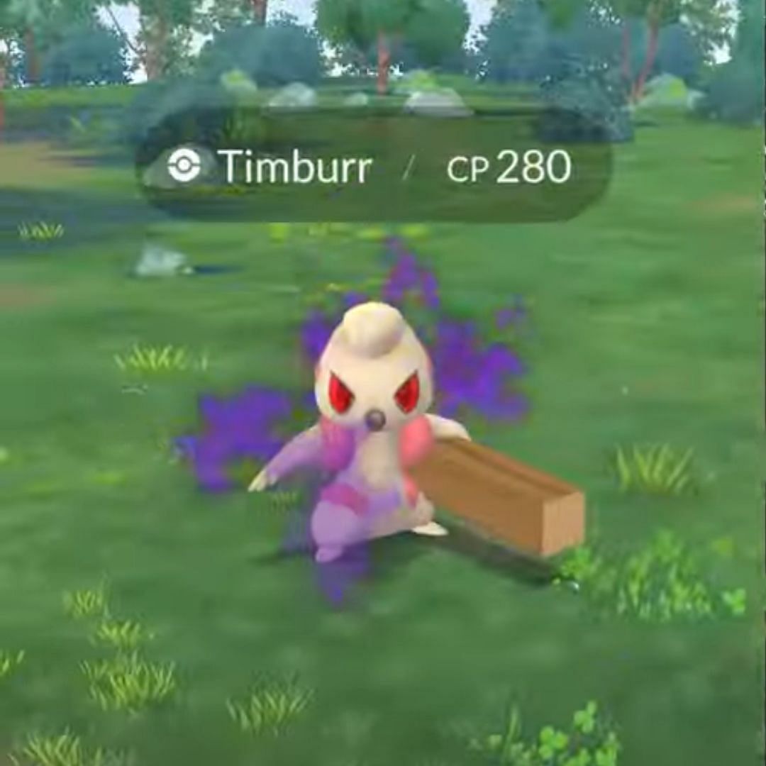 Shadow Timburr (Image via TPC)