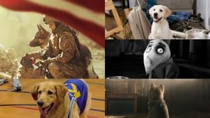 5 movies that will make you fall in love with Dogs